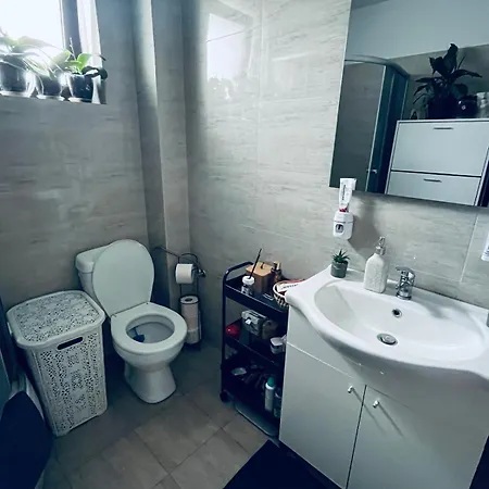 Magnolia K&a Craiova